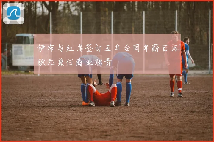 伊布与红鸟签订五年合同年薪百万欧元兼任商业职责