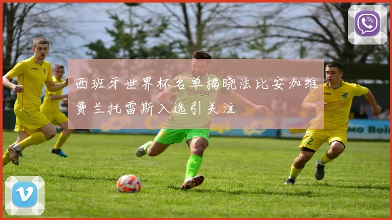 西班牙世界杯名单揭晓法比安加维费兰托雷斯入选引关注