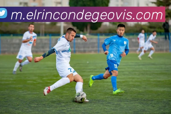 fifa中文官网入口平台生态图